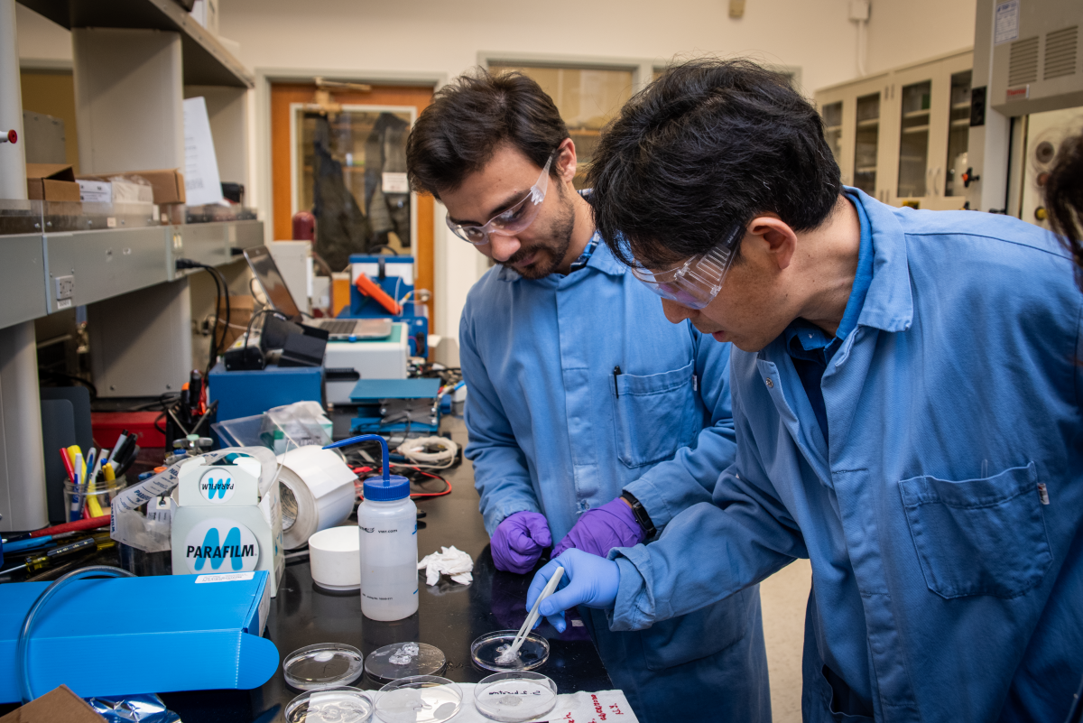 Gao Liu and team members in lab