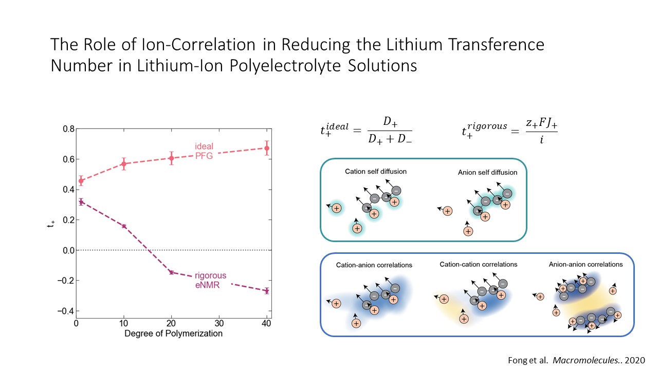 This is Dr. Helen Bergstrom's summary slide showing the degree of polymerization in lithium ion polyelectolyte solution. It shows an equation and graphs of molecule correlations.